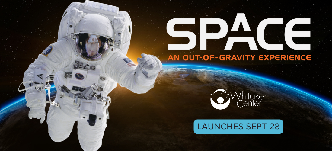 Space: An Out-of-Gravity Experience